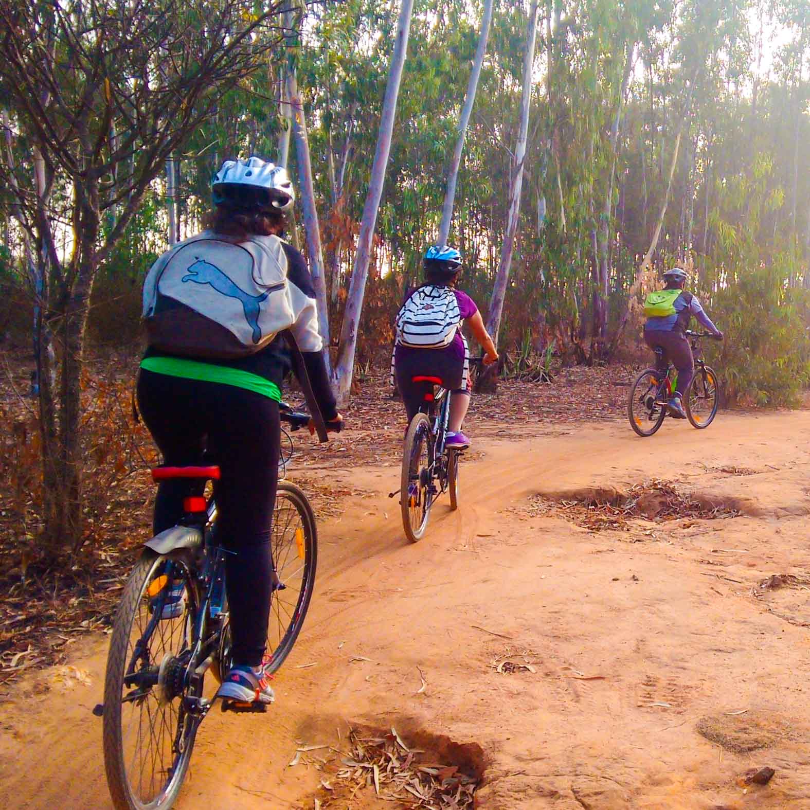 With gentle inclines, the trail is perfect for beginners and intermediate riders alike. 